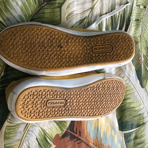 Coach - Picture 4 of 4